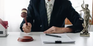 Statement Re- Meadows Hearing